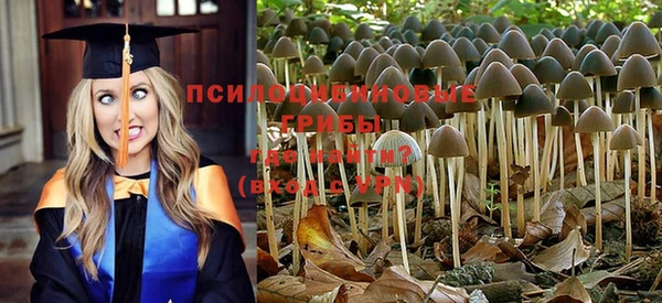 не бодяженный Семёнов