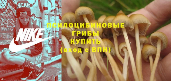 MDMA Premium VHQ Богданович