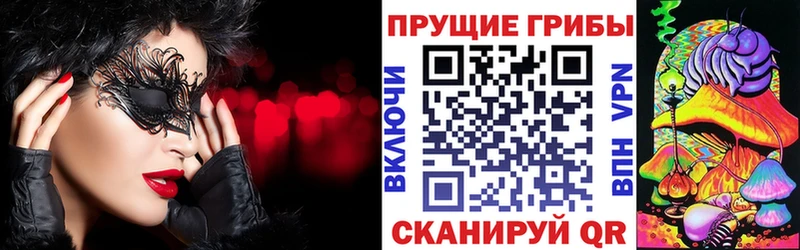 Галлюциногенные грибы Cubensis  наркошоп  Бугульма 